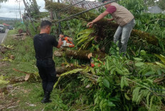  Tiang PLN Roboh, Listrik 2 Desa di Kepahiang Padam Total