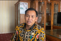 Fokus Jadi Pimpinan DPRD, Samsul Aswajar Mundur dari Panggung Pilkada Seluma