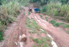 Jalan Rusak Damar Kencana-Langgar Jaya, Daerah Pasrah, Warga Berharap 