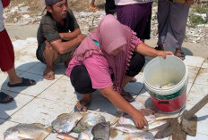 Pedagang Ikan Keliling Akan Dilindungi BPJS Ketenagakerjaan, Tahap Pertama untuk 1.200 Orang