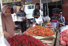Harga Bapokting di Lebong Stabil 