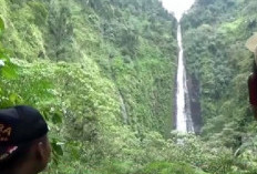 Wajib Dikunjungi! Berikut 12 Tempat Wisata di Jember Selain Pantai yang Lagi Hits