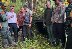 Warga Tewas Diterkam Harimau, 3 Sekolah Libur: BKSDA Tempatkan Kerangkeng