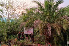 Bongkar Sampai Akar! Satgas PKH juga Diminta Usut 5 Perusahaan Tanpa PPKH