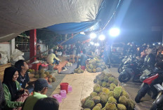 Kota Bengkulu Semakin Ramai Dengan Para Pedangan Durian