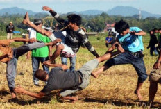 Mallanca, Tradisi Adu Betis sebagai Simbol Syukur Masyarakat Sulawesi Selatan