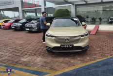 Pahami Sebelum Beli! Berikut Perbedaan Honda HRV, CRV dan BRV