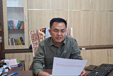 Suami Kabur jadi DPO, Istri Tanggung Sendiri Vonis 2,5 Tahun Perkara Sabu