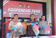  Stop Pasokan Ganja dari Empat Lawang, Kepahiang jadi Titik Antara Peredaran