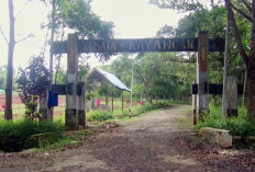 Destinasi Healing dan Spot Foto Instagramable! Berikut 3 Fakta Wisata Gunung Kayangan di Kalimantan Selatan