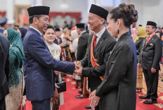 Menperin Terima Bintang Tanda Kehormatan dari Presiden RI