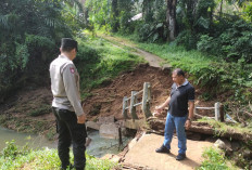 Jembatan Desa Akses Perkebunan di Bengkulu Utara Ambruk, Ini Penyebabnya 