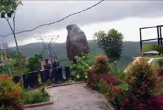 Destinasi Healing dan Instagramable di Kabupaten Batang! Berikut 4 Fakta Bukit Sri Gunung