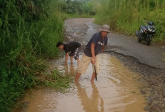 Jalan Provinsi Semakin Parah, Warga Minta Akses Lubuk Sini - Lubuk Durian Segera Diperbaiki
