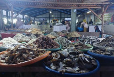 9 Fakta Ikan Asin, Sudah Ada Sejak Tahun 900 Masehi dan Banyak Mengandung Khasiat Penting