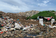 Kurangi Volume Sampah di TPA, Perlu Bank Sampah di Setiap Kelurahan