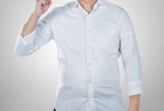 Digelar 2 Hari, Job Fair Bengkulu Utara Buka Peluang Kerja dalam dan Luar Negeri