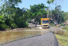 Banjir Rob di Bengkulu, Antara Gejala Alam dan Tangan Manusia, Ini Sebabnya 