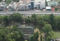 Destinasi Keluarga Ramah Anak yang Wajib Dikunjungi! Berikut 3 Fakta Menarik Taman Wisata Alam Punti Kayu