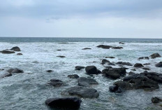 Apa Penyebab Warna Air Laut Bisa Berbeda-beda? Ini Penjelasannya