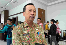 Pendataan Hewan Kurban Dimulai, Pemprov Bengkulu Tunggu Laporan Daerah