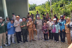 Tanaman Bambu Solusi Lingkungan Bebas Banjir