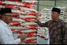 Peduli Nasib Petani Provinsi Bengkulu, Gubernur Rohidin Konsisten Salurkan Pupuk Setiap Tahun