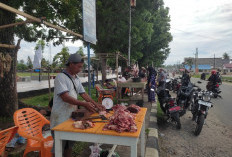 Sempat Anjlok, Harga Daging Sapi dan Kerbau Kembali Normal