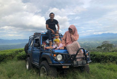 Menyapa Awan di Kebun Teh Gunung Dempo: Serunya Camping dan Menikmati Gemerlap Kota Pagaralam dari Ketinggian!