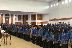 4.423 Tenaga Non ASN Diminta Lengkapi Berkas PPPK Paruh Waktu 