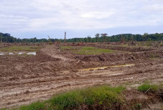 Proyek Cetak Sawah 617 Hektare Enggano Dipastikan Berlanjut Tahun Depan