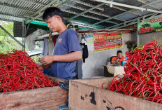 Antisipasi Lonjakan Harga Bahan Pokok Jelang Akhir Tahun 2024 