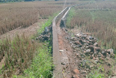 Irigasi Sawah Dusun Besar Tak Kunjung Diperbaiki, Dewan: Dinas PUPR Itu Kerja atau Tidak?