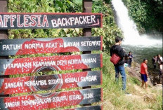 Air Terjun Curug Terambon, Objek Wisata Wajib Kunjung Saat ke Kepahiang 