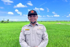  DTPHP Provinsi Bengkulu Gencar Optimalkan Perluasan Areal Tanam Padi Bengkulu