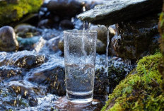 Mengenal Dehidrasi Serta Bahaya yang Ditimbulkan, Berikut Penjelasannya