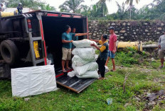 Truk Box Terbalik di Sulawangi, Berikut Penyebab dan Kronologisnya 