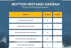  BURUAN! Ini Dia Daftar Instansi Semi Peminat, Masih Ada yang 0 Pelamar CPNS 2024