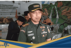  Kodim Tambah Personel Wilayah Rawan Pilkada 2024, Dandim: Kita Tambah 500 Personil
