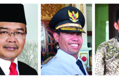 5 Kandidat Kuat Pilwakot Bengkulu 2024, Ini Dia 
