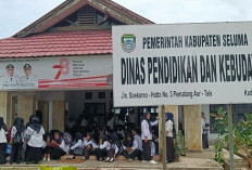 Hardiknas, Guru Honorer di Seluma Mengaku Sudah Tak Gajian, Menanti Kepastian SK PPPK