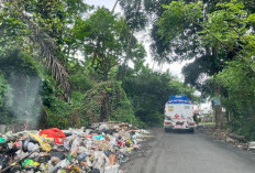 Sampah Pasar Bawah, Lurah di Bengkulu Selatan Minta Ini 