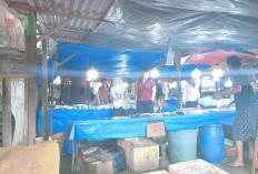 Kisah Sedih Efendi, Pedagang Ikan yang Rugi Rp10 Juta Akibat Listik PLN Padam
