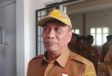Pemkab Seluma Pastikan Tak Rekrut Kembali Seribu Honorer Lama