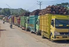 Empat PKS Tetapkan Jadwal Tutup dan Penerimaan TBS