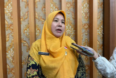 Serapan Pupuk Subsidi Bengkulu Triwulan I 2026 Baru 17 Persen