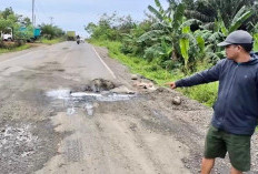 Baru 3 Bulan Diperbaiki, Jalan Tugu Hiu Rusak Lagi