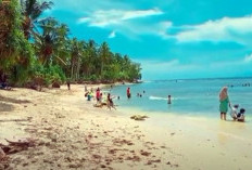 Surga Tersembunyi untuk Pencinta Alam dan Selancar! Berikut 5 Fakta Pantai Pengubayan di Kaur