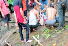 Tenggelam di Sungai, Warga Bengkulu Tengah Ditemukan Tak Bernyawa di Bebatuan