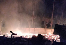 Dilalap Api, 6 Unit Perumahan Karyawan Tambak Udang Ludes Terbakar 